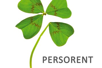 Personalberater, Personaldienstleister: Persorent Berlin Schwarzer GmbH